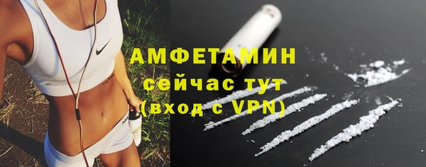 молекула духа Горняк