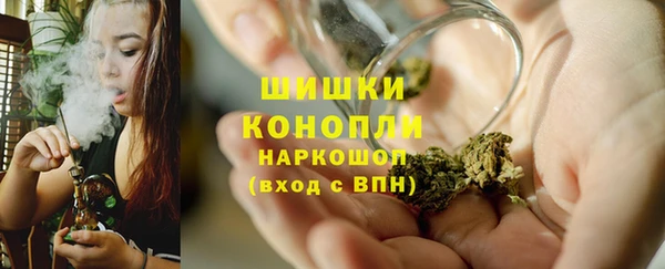 гидропоника Гусиноозёрск