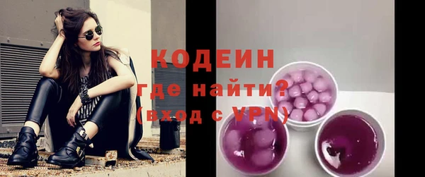 тгк Гусев