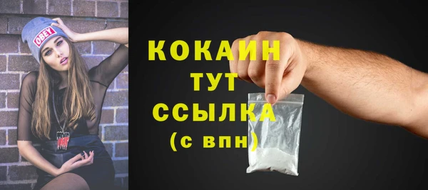 гидропоника Гусиноозёрск