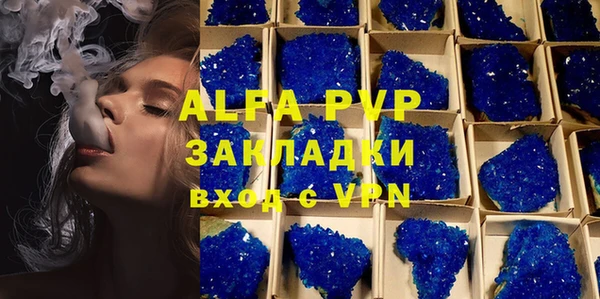 тгк Гусев