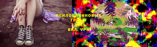 тгк Гусев