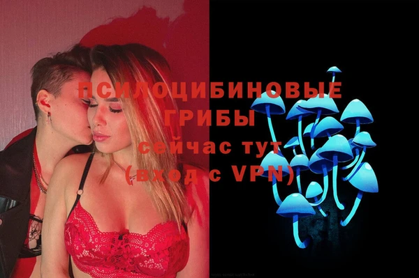 экстази Гусь-Хрустальный